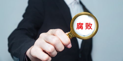 中共中央 丰富防治新型腐败和隐性腐败的有效办法