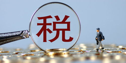 税务总局王军 要注重多运用兼顾法理情的审慎包容监管